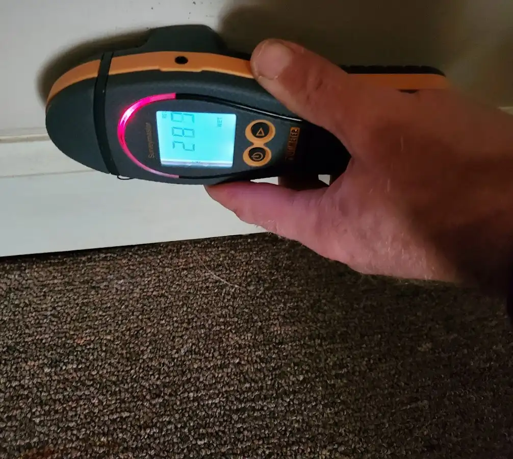 Moisture detection at baseboard during Mold Inspection & Testing in Louisville